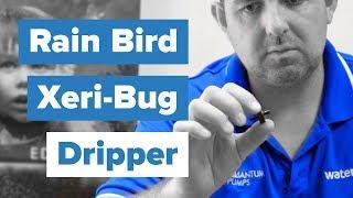 Rain Bird Xeri-Bug Drippers Review and How To Use