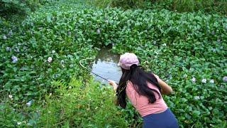 Hook Fishing. Tilapia And Carp Fishing Girl With Traditional Hook . Fishing