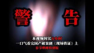 国产刑侦悬疑佳作，真实案件改编的推理盛宴，一口气看完《案发现场》