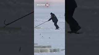 Традиционная заготовка льда в Якутии #якутия #лед #зима