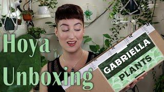 Unbox a HOYA w/ Me from Gabriella Plants! | DreamsofHoya