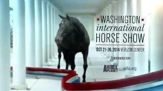 2014 Washington International Horse Show