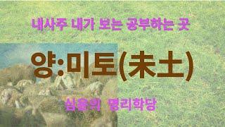 시작하는 사주명리 지지편 "미토(未土)" 내사주 내가 보는 공부하는 곳 #사주팔자 #사주 #사주명리 #교육 #명리학 #운세