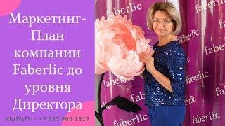 МАРКЕТИНГ ПЛАН КОМПАНИИ #Faberlic  ДО УРОВНЯ ДИРЕКТОР