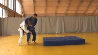 Dzudo - samoodbrana (diplomski rad) / Judo - selfdefense (diploma thesis)