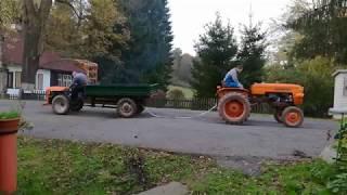 Fiat 215 vs. motoagricola Goldoni export. Tractor fight !