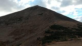 Mount Guyot mountain goats