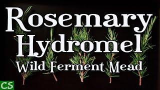 Rosemary Hydromel Mead - How to Make Mead without Yeast!