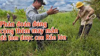 Phát hiện dấu vết Rắn lớn, và cách chúng tôi bắt được nó thật độc đáo | TGSB #926