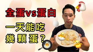 一天到底能吃幾顆蛋？全蛋vs蛋白｜iYA運動營養