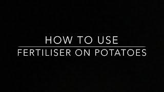 How to use fertiliser on potatoes!