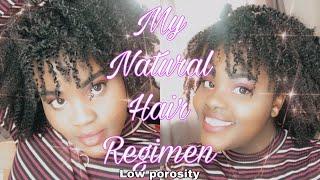 My Natural hair Regimen for LOW POROSITY Dry Natural Hair