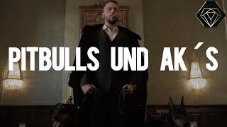 KOLLEGAH TYPE BEAT ZHT4 - PITBULLS UND AK´S