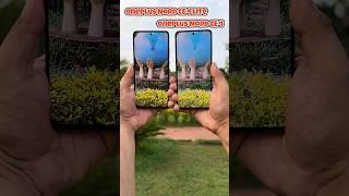 Oneplus Nord CE 4 Lite 5g vs Oneplus Nord CE 4 Camera Test #shorts