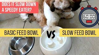 Slowing Down Eating Speed | Slow Feeder Bowl | 5 Month Old Shih Tzu