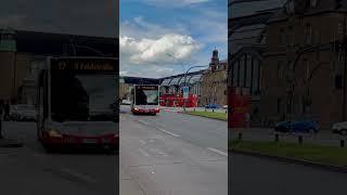 HAMBURG Einfahrt Hochbahn-Busse am Hbf./Steintorwall #shorts #hamburg #bus #shortsvideo #hochbahn