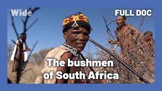 One of the world's oldest cultures: bushmen | WIDE | FULL DOCUMENTARY