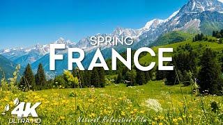 Spring France 4K UHD - Spring Nature, Scenic Relaxation Film With Calming Music