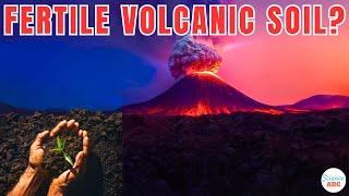 Why Is Volcanic Soil So Fertile?