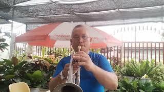 IF I EVER FALL IN LOVE AGAIN -  (Trumpet) cover by Edison Bartolay