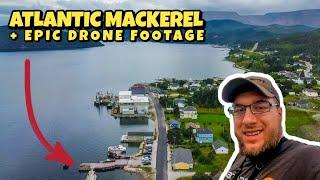 Fishing in North Atlantic Waters for Delicious Mackerel! (Seaside Town & Drone Footage)