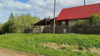 Шахарга 18 км Уй 50 сотих 60²м. Москва - Рига трасса Кунья р-н дер. Докуки Псков обл