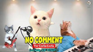 Kucing Nyanyi Lagu NO COMMENT Lucu Banget | Dunia Kucing TV