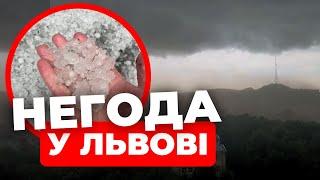 Повалені дерева, зірвані дахи та підтоплені вулиці: у Львові "витанцьовує" негода