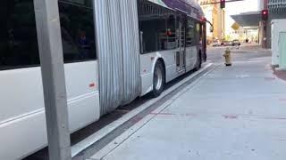 Various Valley Metro New Flyers In Downtown Phoenix During Peak Hours