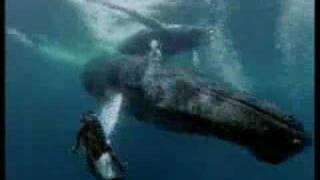 Cousteau and the Rights of Future Generations