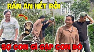 Quá Xui Cho Dì Hương Khi Bị Rắn Bò Vào Lụm Sạch Ổ Gà Mới Ấp