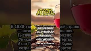 СССР ПРОТИВ ВИНА      #история #грузия #виноград