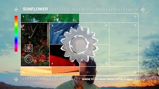 Briston Maroney - Sunflower: The Visual Album