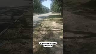 Хожу пешком по городам Америки #эмиграция #выживание #shorts #сша #туризм
