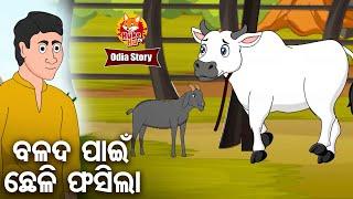 Balada Pain Chheli Fasila - ବଳଦ ପାଇଁ ଛେଳି ଫସିଲା |  Odia Moral Story  | Huke Hu TV | ଓଡିଆ କାଟୁନ ଗପ