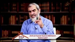 İslam´a göre avcılık. Nureddin Yıldız Hoca Efendi.