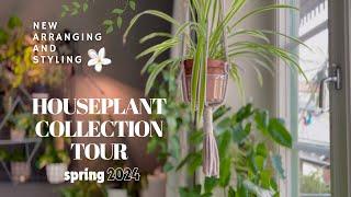 Houseplant collection tour 🪴 new arranging and styling