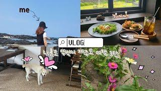 나홀로 뚜벅이 제주도여행 4박 5일 브이로그 세번째 ‍️: 아침부터 만족스런 하루 (구좌읍코스* 아스론가, 한라산-카페, 오늘의감정, 세화해수욕장)