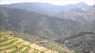 The Priorat wine region