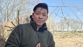 Nội dung, "lá thư trần thế" Tô Lâm gửi cho Bác Trump - Ngày 07/04/2025...