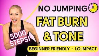 Beginner friendly - Low-Impact Fat Burn Workout - Walk, Punch & Tone - 40 Minutes.