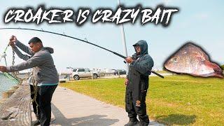 Non-Stop Action! Pier Fishing with Cut Croaker!