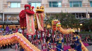 Pre-CNY 2024 - Acrobatic Lion Dance by Khuan Loke Dragon and Lion Dance at Suria KLCC 双溪威群樂体育会龙狮团