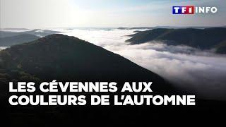 Les Cévennes aux couleurs de l’automne