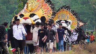 Barongan Besar Raksasa ini Bikin Kaget.. Sampai Harus di Bawa Oleh Orang Banyak