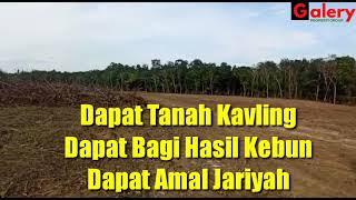 Tanah Kavling Dijual Bangka Belitung | Kavling Produktif Pondok Kebun