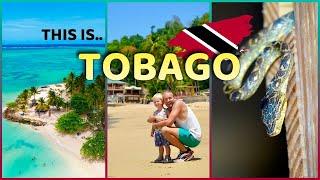 TOBAGO: TRAVEL GUIDE Trinidad & Tobago - Top sights in 4K + Drone