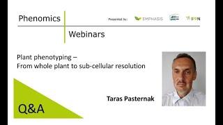 Q&A  Dr. Taras Pasternak - Plant phenotyping: From whole plant to sub-cellular resolution