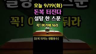 "오늘 설탕 한 스푼 꼭 여기에 둬라! 돈복 터진다! 9월 19일 돈복 터지게 만들어줄 이것" [오늘의 돈복 터지는 풍수지침]