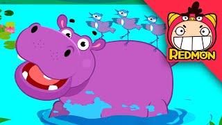 Hippo song | Animal songs | Nursery Rhymes | REDMON